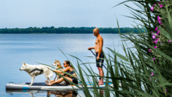 Vanausbau-Vanlife-Sprinterausbau-Wohnmobil-Selbstausbau-Deutsch-Anleitung-Van_Tusky-Groß-Wittensee-Schleswig-Holstein-Strand-Vanlife-Siren-Sup-Surfing