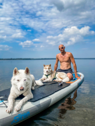 Vanausbau-Vanlife-Sprinterausbau-Wohnmobil-Selbstausbau-Deutsch-Anleitung-Van_Tusky-Groß-Wittensee-Schleswig-Holstein-Strand-Vanlife-Siren-Sup-huksylife