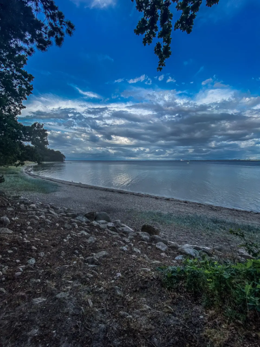 Ein Strand mit Bäumen und bewölktem Himmel in Kongsøre Sandskredet, Dänemark.