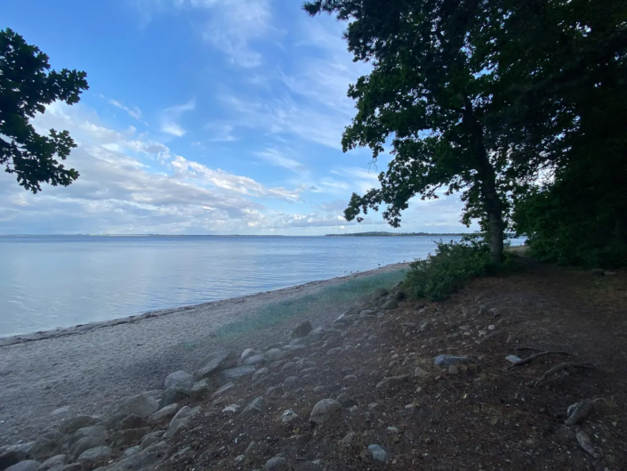 Ein Strand mit Felsen und Bäumen auf der Insel Van in der Nähe von Sjællands Odde und Kongsøre Sandskredet.